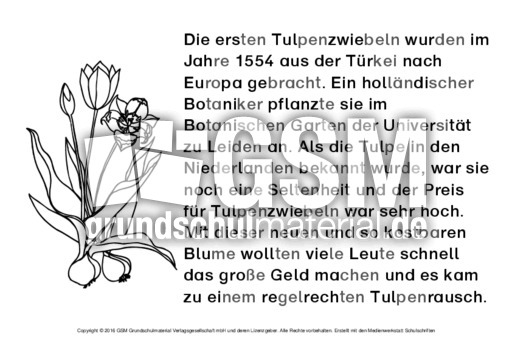 Tulpe-Abschreibtexte-SW 6.pdf